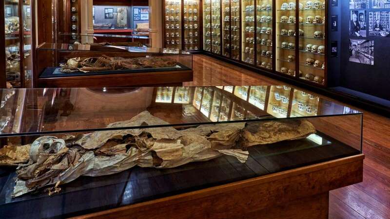 Momia aborigen en El Museo Canario/TA.